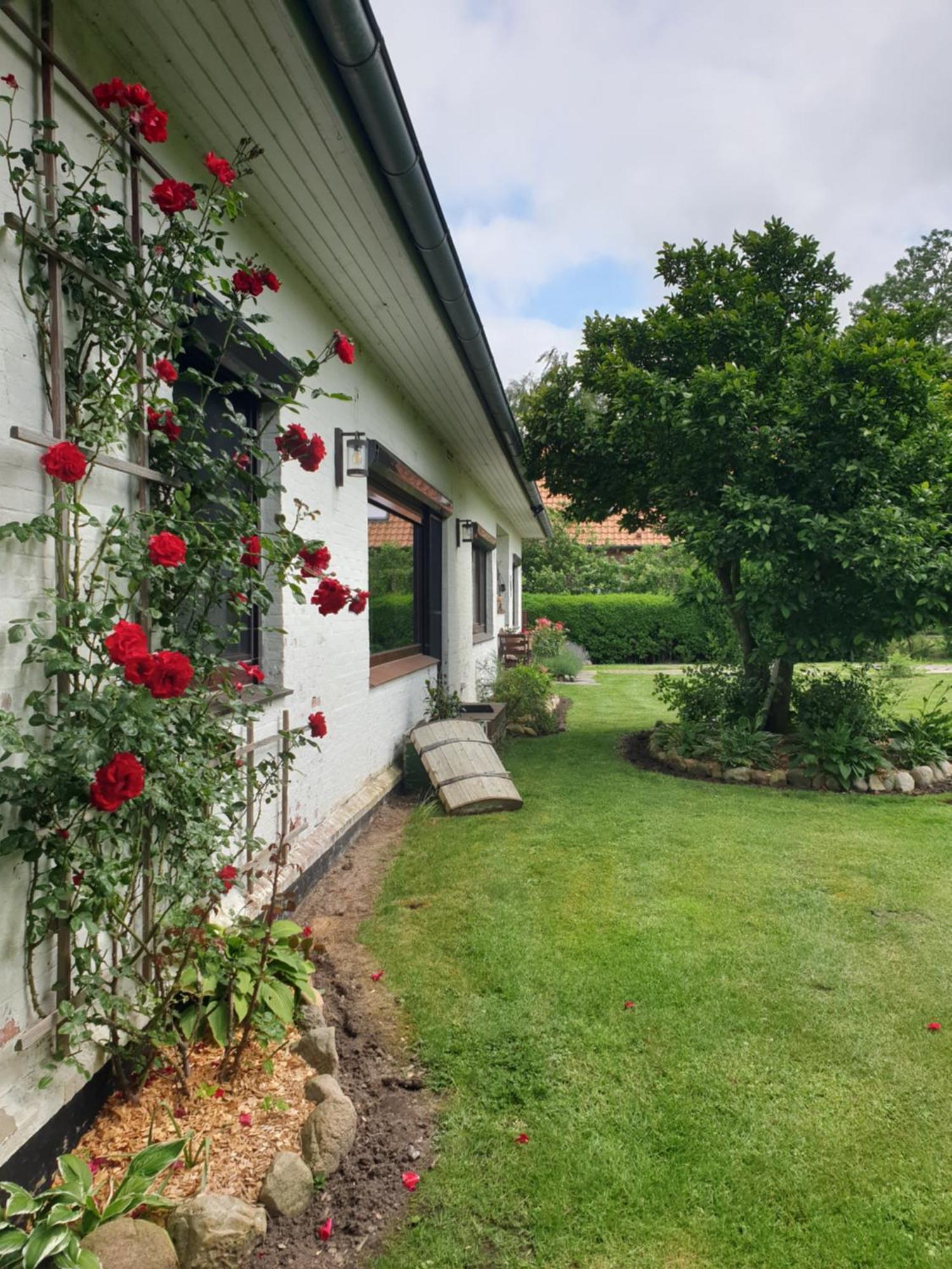 Osteblick Daire Oberndorf  Dış mekan fotoğraf